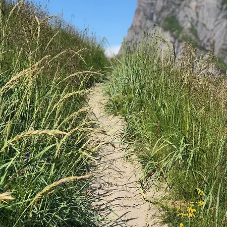 Lofoten A - Close To The Sea * Sørvågen